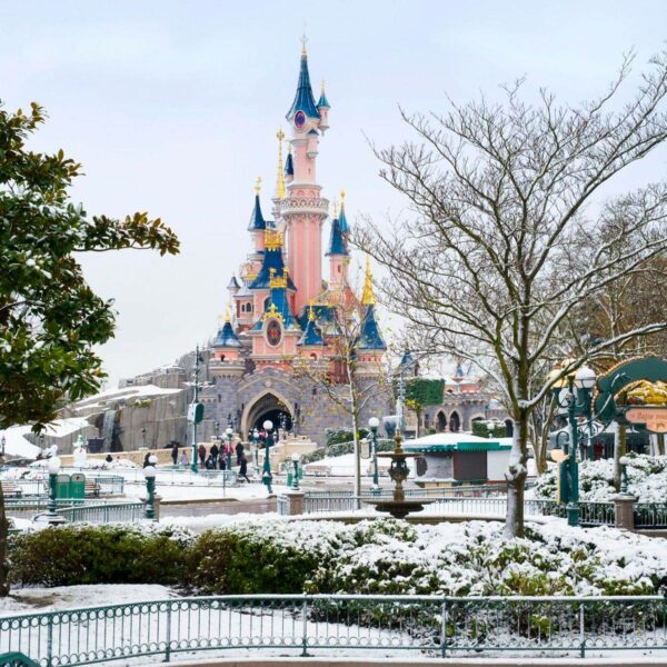 Disney Photo 1